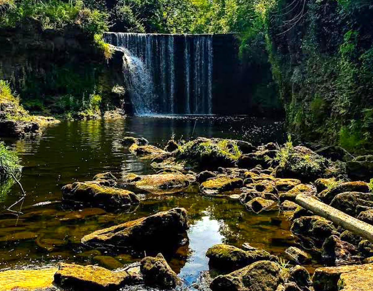 Waterfall cascading into shallow creek